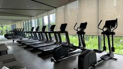 Irwell Hill Residences (D9), Apartment #477570491